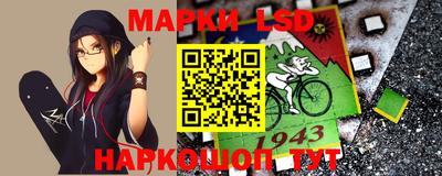 стафф Владимир