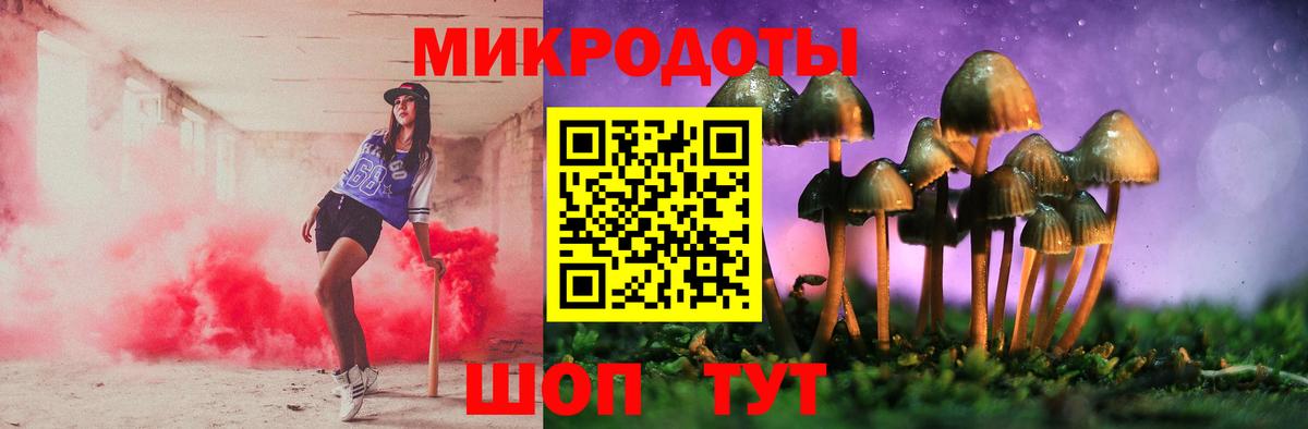Псилоцибиновые грибы ЛСД Балтийск